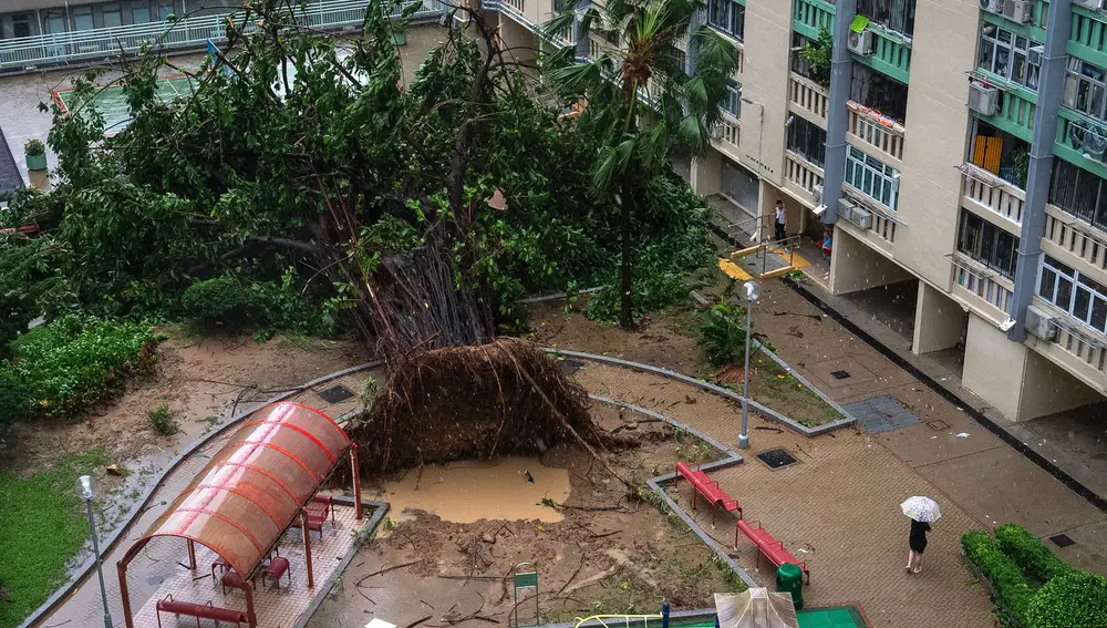 Hong Kong Asia Typhoon