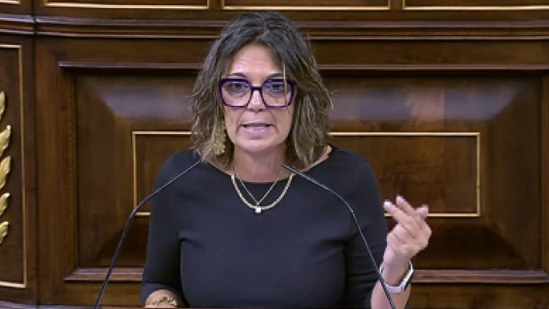 La diputada Mila Marcos interviene en el Congreso