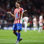 Atletico de Madrid v Rayo Vallecano - LaLiga EA Sports