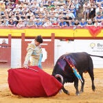 Una oreja que sabe a poco