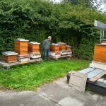 Las colmenas tradicionales de Burgos que inspiran al sector apícola en Europa