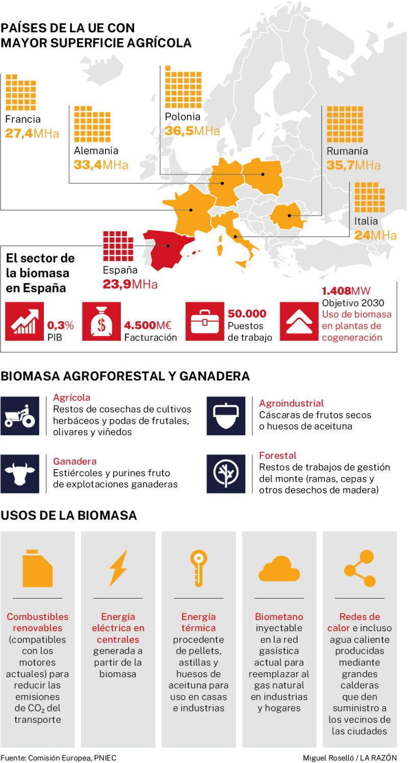 Biomasa y energía