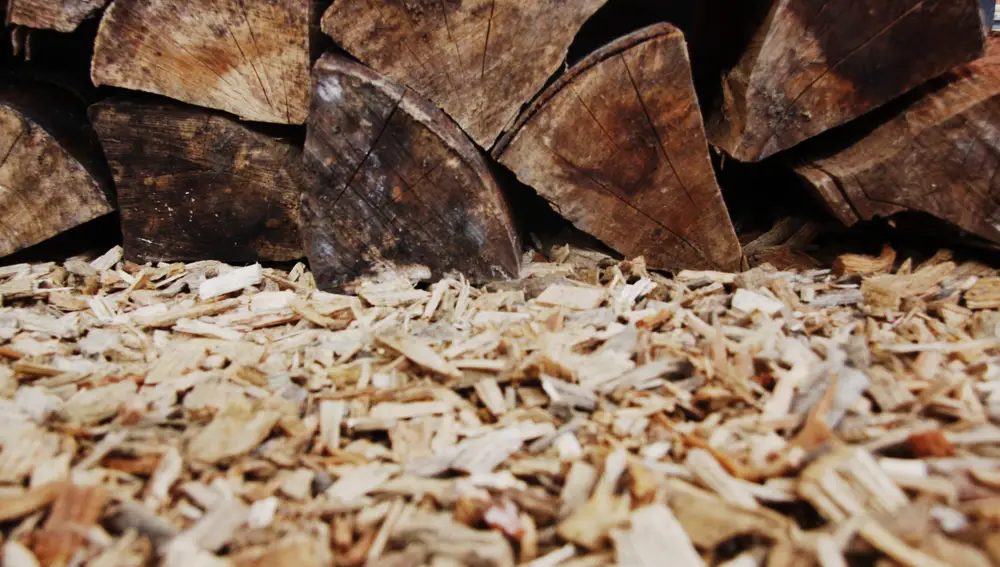 Los subproductos de la industria de la madera también son biomasa