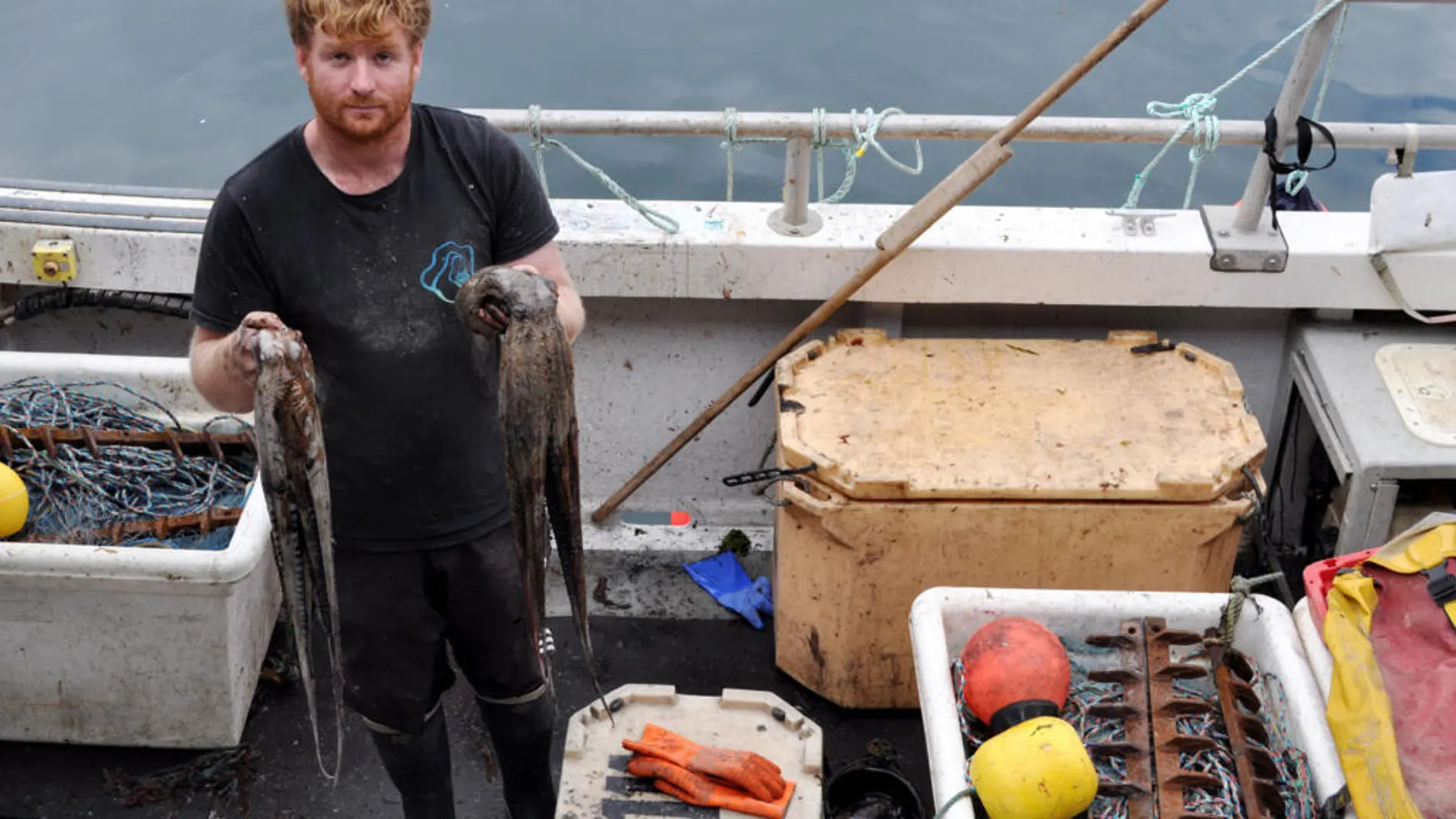 El pescador Chris Kelly posa con varios pulpos en su barco, en el puerto de Plymouth, en el suroeste de Inglaterra, el 21 de agosto de 2025