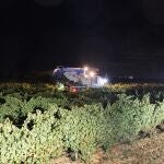 Vendimia de Oro de Castilla