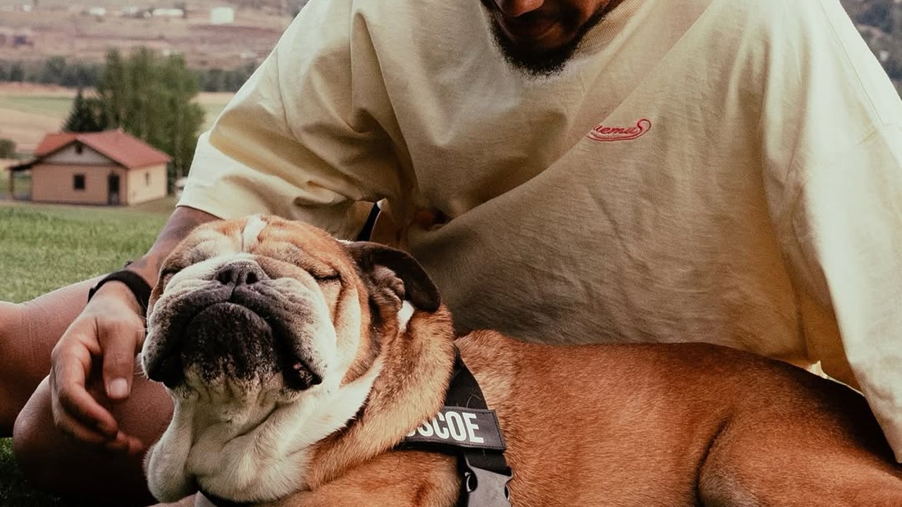 Muere Roscoe, el perro de Hamilton: "Perderlo es desgarrador"