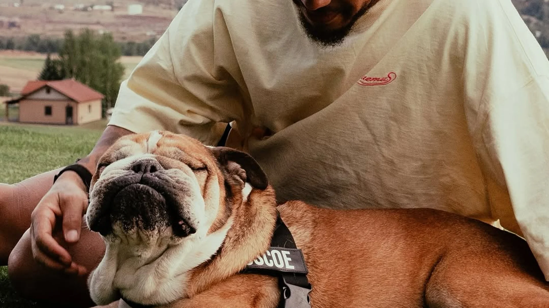 Muere Roscoe, el perro de Hamilton: "Perderlo es desgarrador"