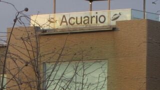 La Noche Internacional de los Murci&eacute;lagos llega este jueves al Acuario Fluvial de Zaragoza