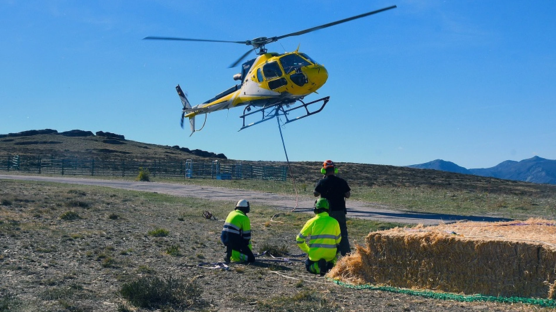 El helicoptero recogiendo una de las pacas.