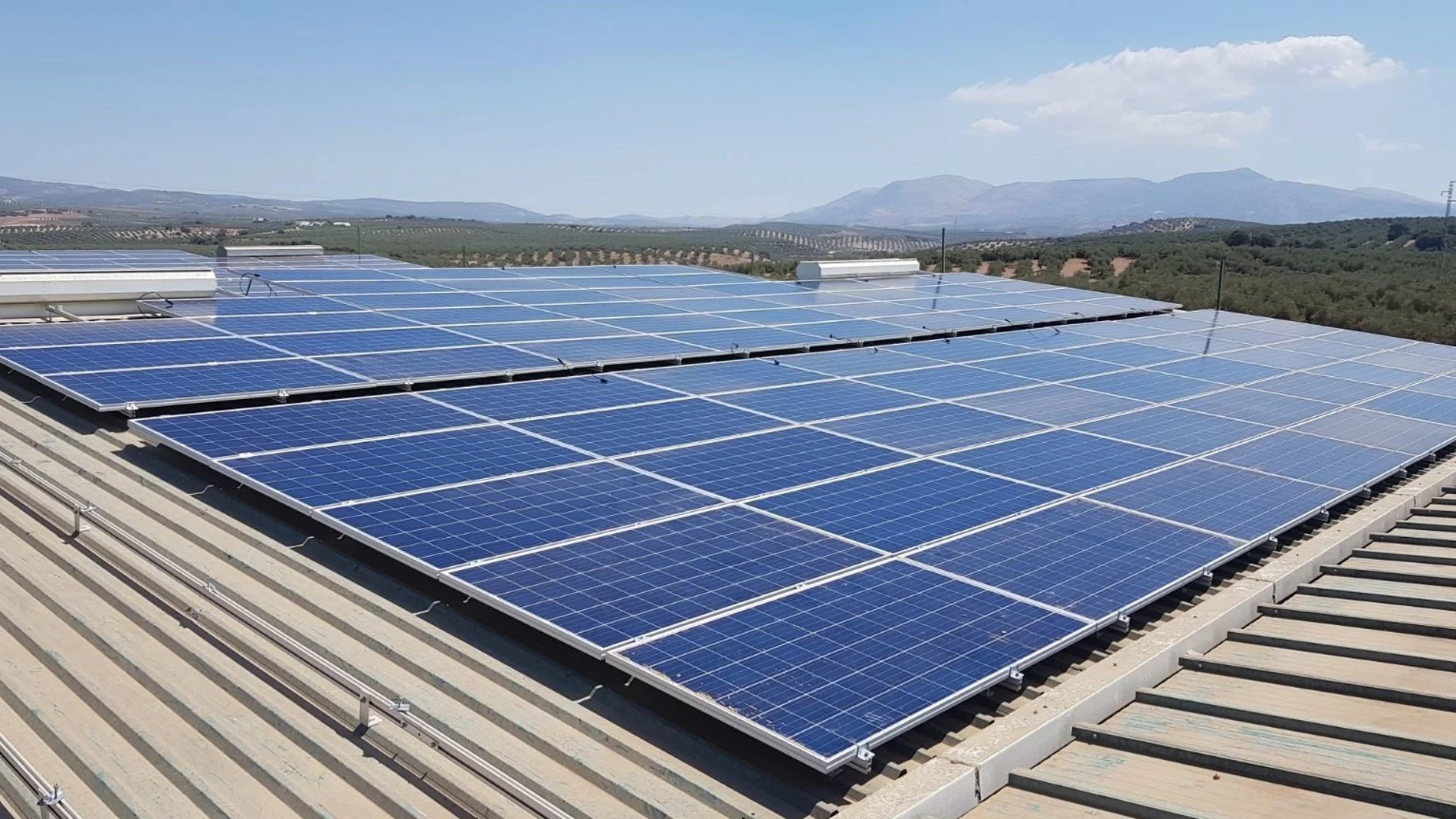 La agrivoltaica es un sistema de energía limpia cada vez más extendido en el sector agrario