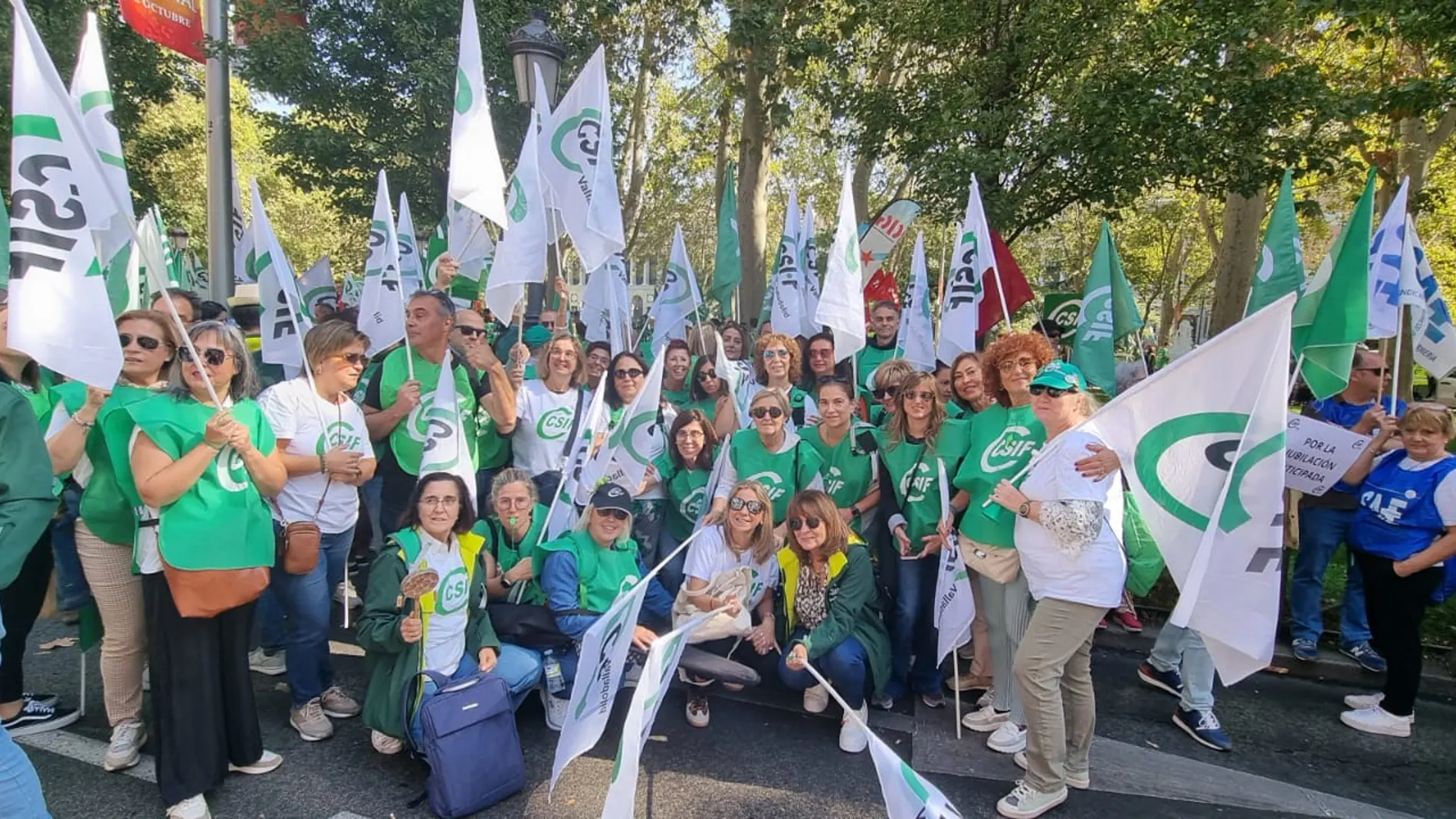 Trabajadores de Sanidad de Valladolid durante la manifestación en Madrid
