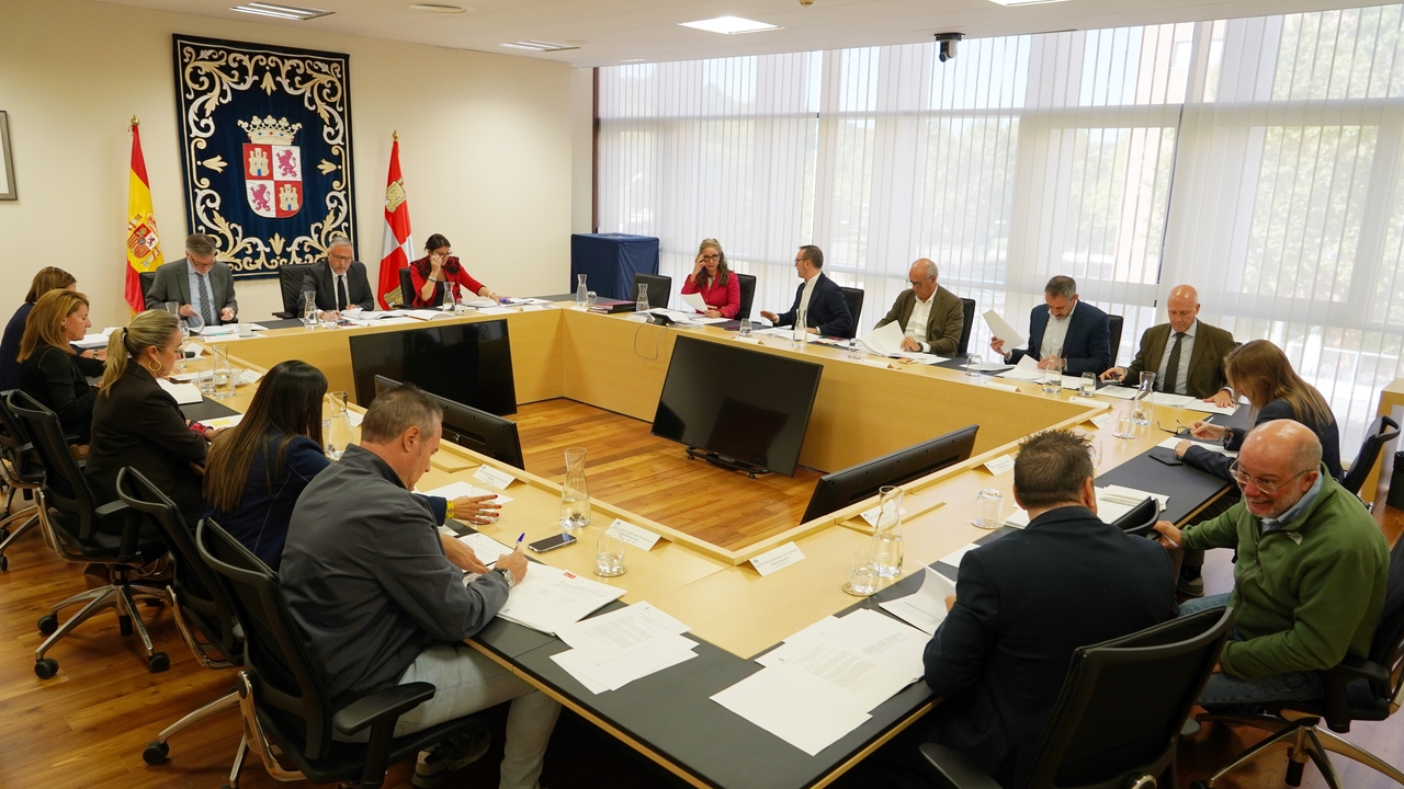 Las Cortes de Castilla y León echan para atrás una moción de UPL para una consulta popular sobre la autonomía leonesa