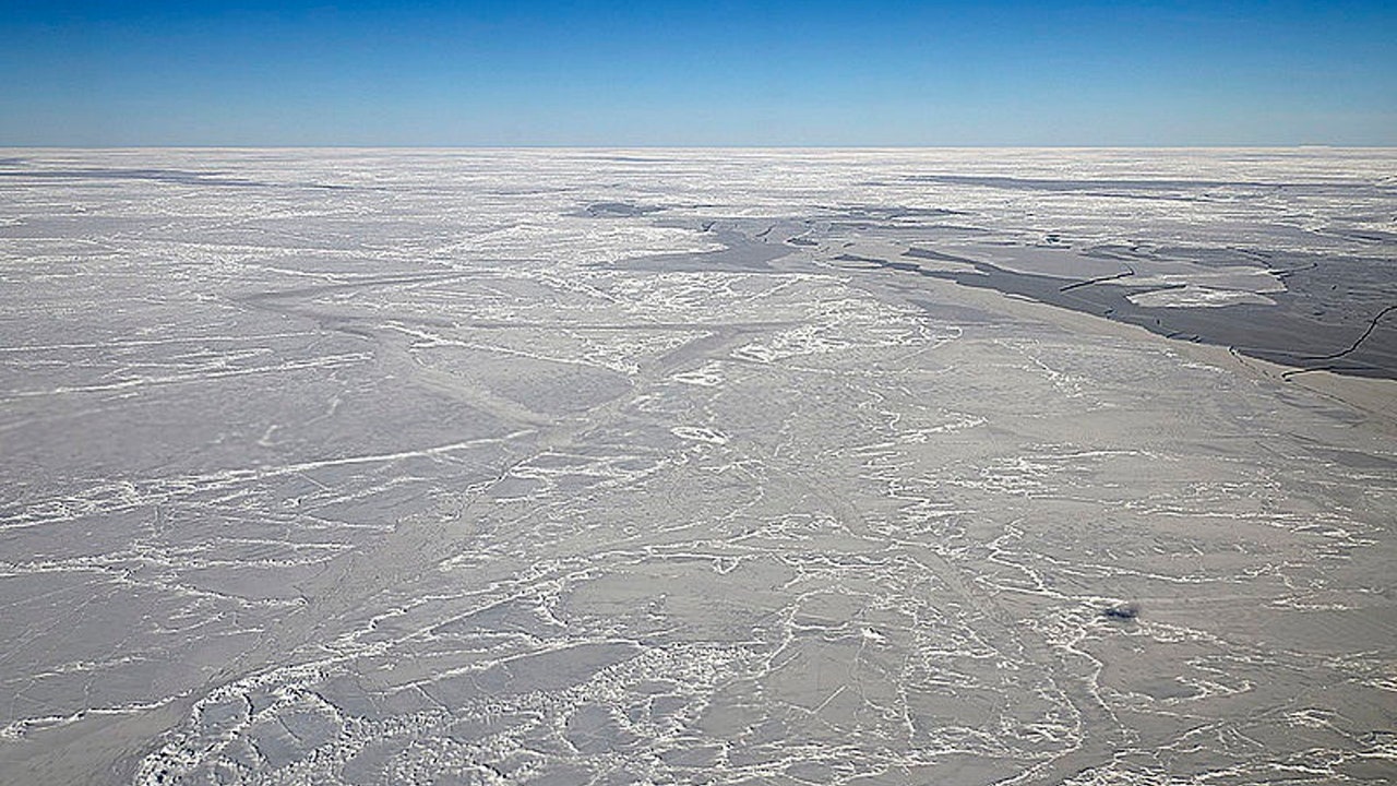 La presencia de hielo marino en la Antártida alerta de más calentamiento global