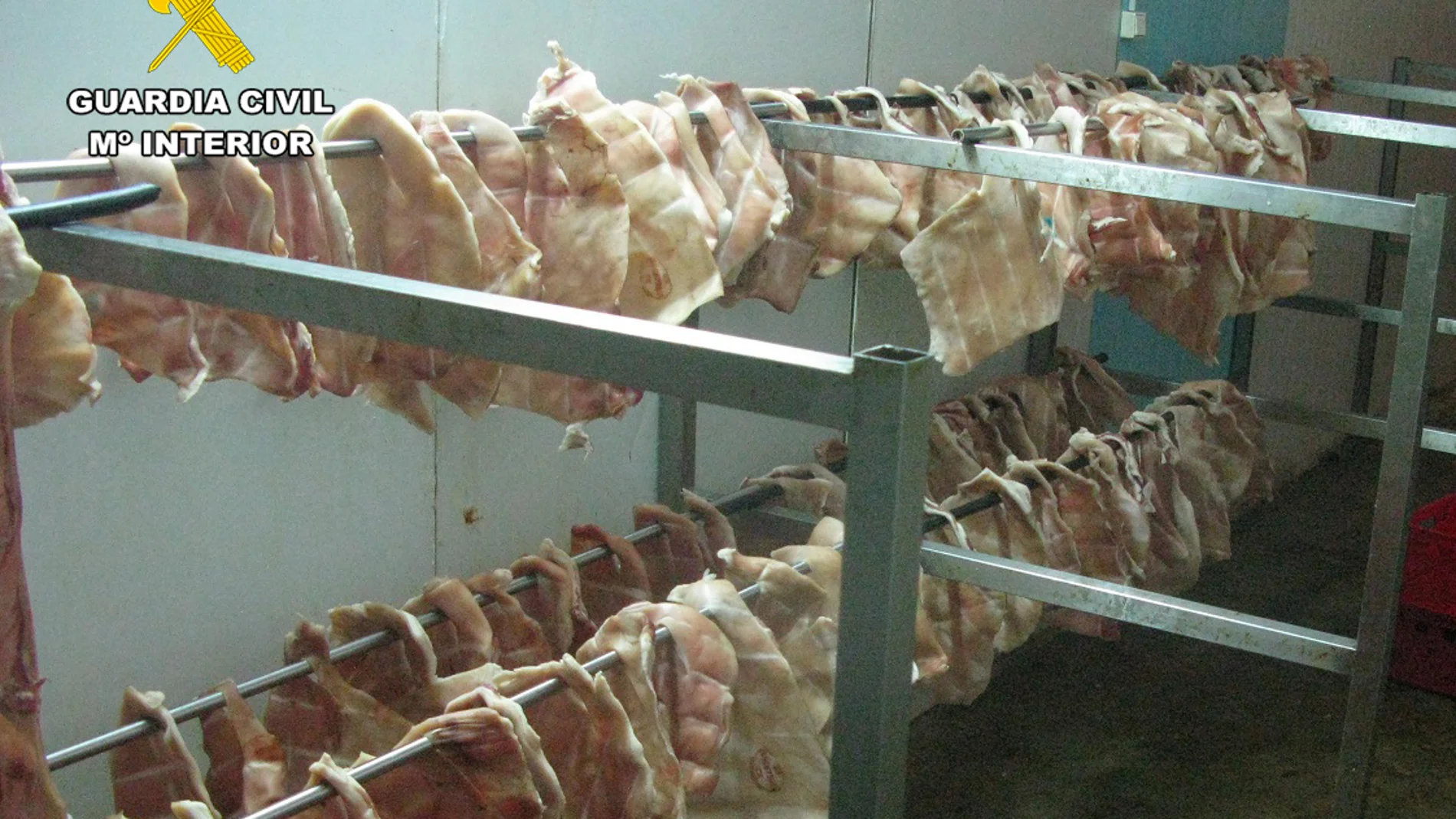Carne localizada en el local de Hellín (Albacete)
