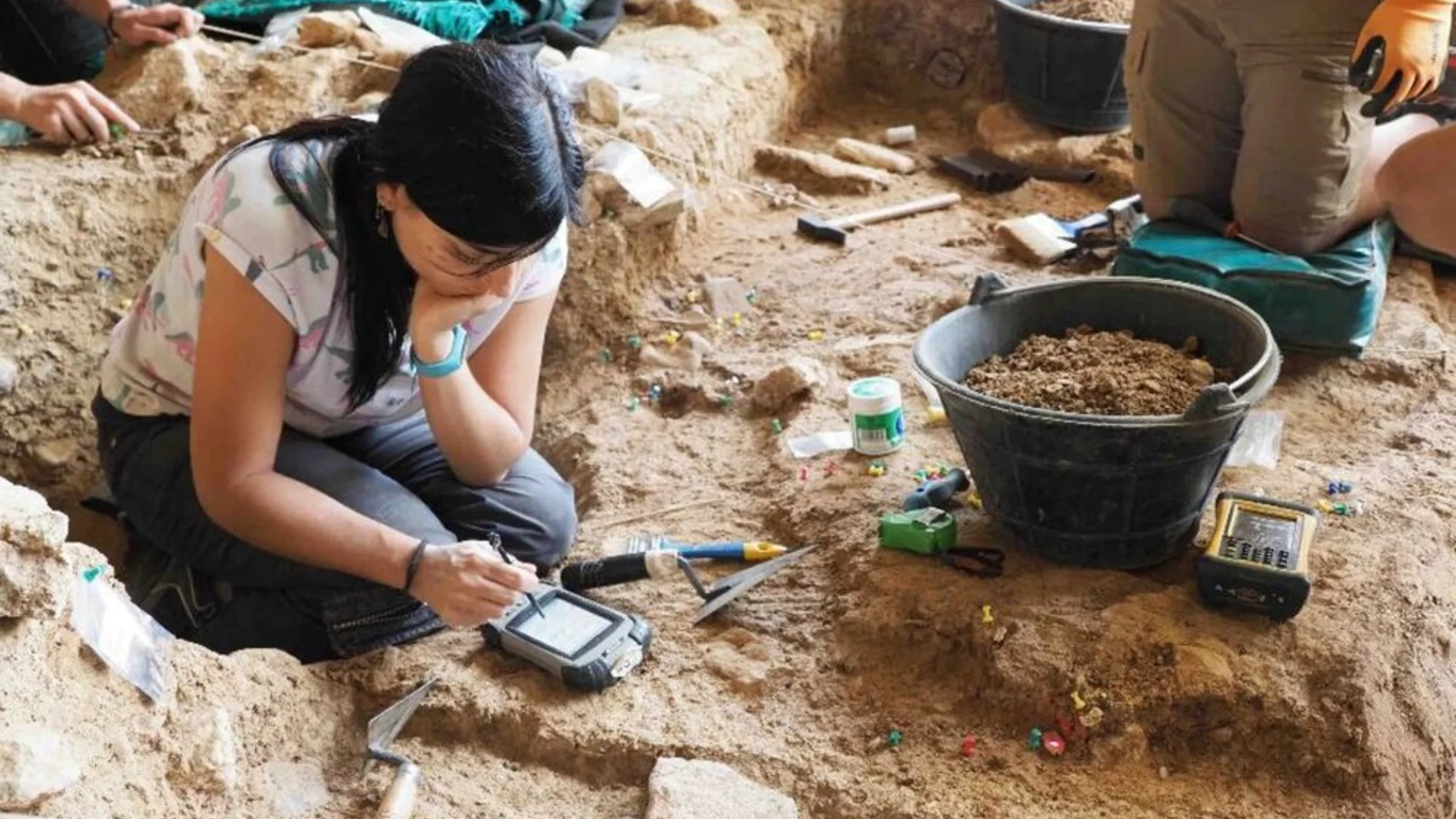 Encuentran en un yacimiento de Guadalajara restos de caballos ibéricos de hace más de 30.000 años "con genomas completamente distintos a los actuales"Encuentran en un yacimiento de Guadalajara restos de caballos ibéricos de hace más de 30.000 años "con genomas completamente distintos a los actuales"