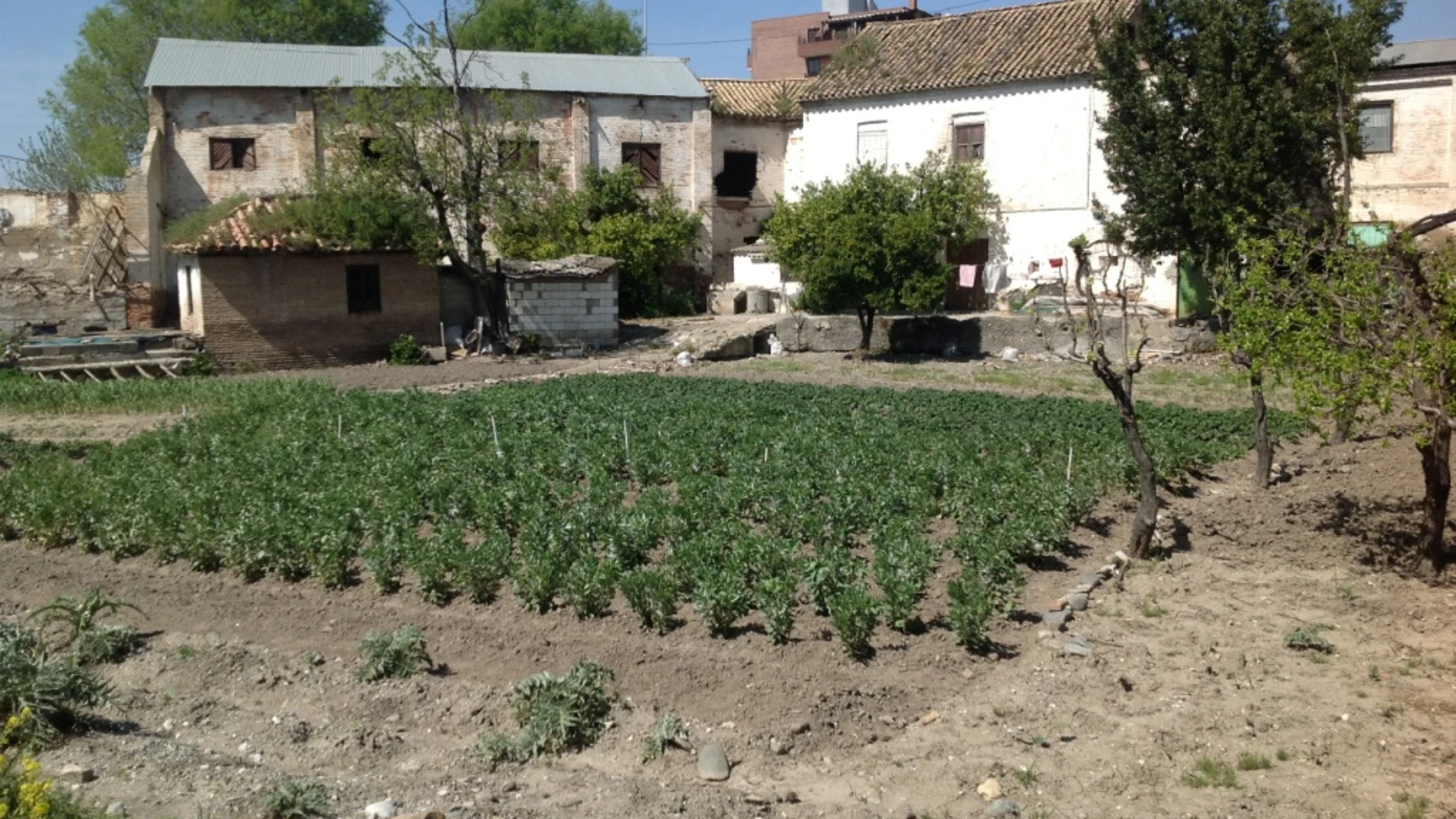 Hispania Nostra incluye la Huerta de la Mariana de Granada en la Lista Roja