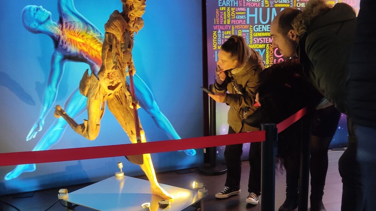 Esta es la polémica exposición con cadáveres plastinados que puedes ver en Vigo