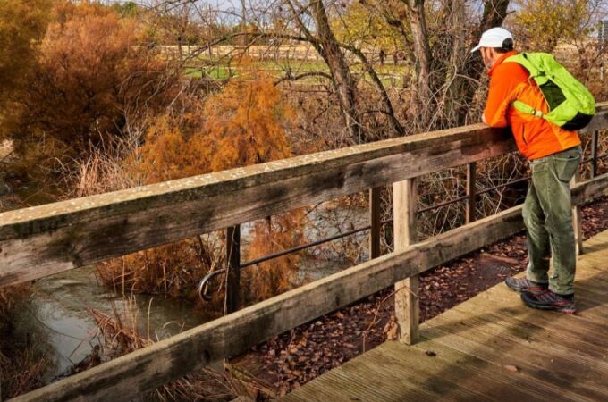 Un hombre observando un paisaje