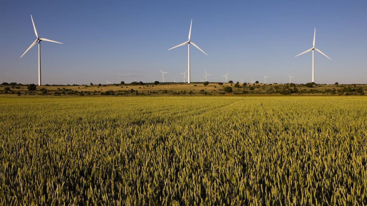 Nuevo préstamo verde de Iberdrola con el BEI