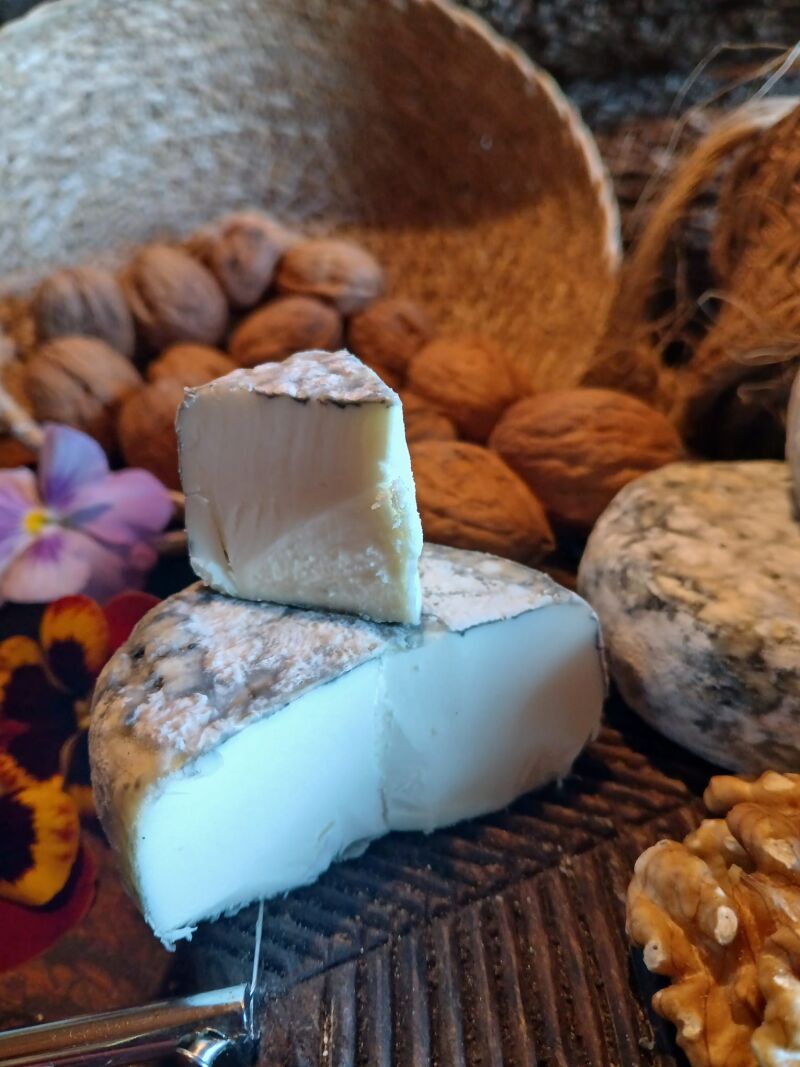 Queso «Perla», Mejor Queso de Madrid 2025