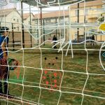 Concurso de murales en las pistas de padel de la provincia de Ávila