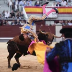 Vista de la cogida del diestro Víctor Hernández, durante la corrida de la Feria de Otoño celebrada este sábado en la plaza de toros de Las Ventas, en Madrid.