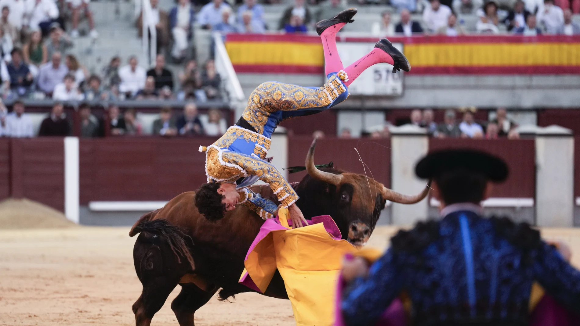 Vista de la cogida del diestro Víctor Hernández, durante la corrida de la Feria de Otoño celebrada este sábado en la plaza de toros de Las Ventas, en Madrid.
