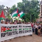 Manifestación en apoyo a Palestina en Palma