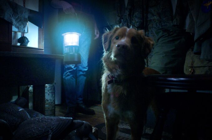 La película “Good Boy” arrasa en el cine independiente con una historia de terror tan inquietante como inesperada