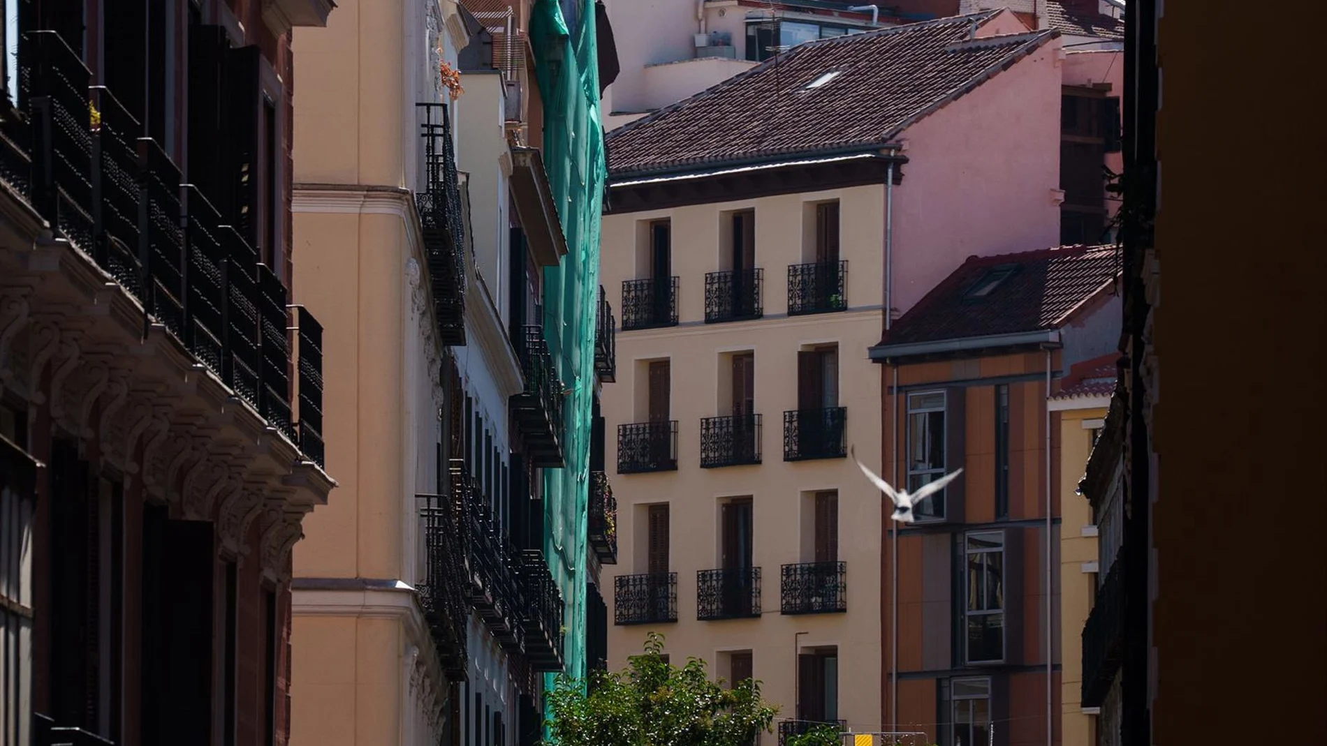 Un juez abre diligencias para investigar el derrumbe del edificio en obras de la calle Hileras de Madrid