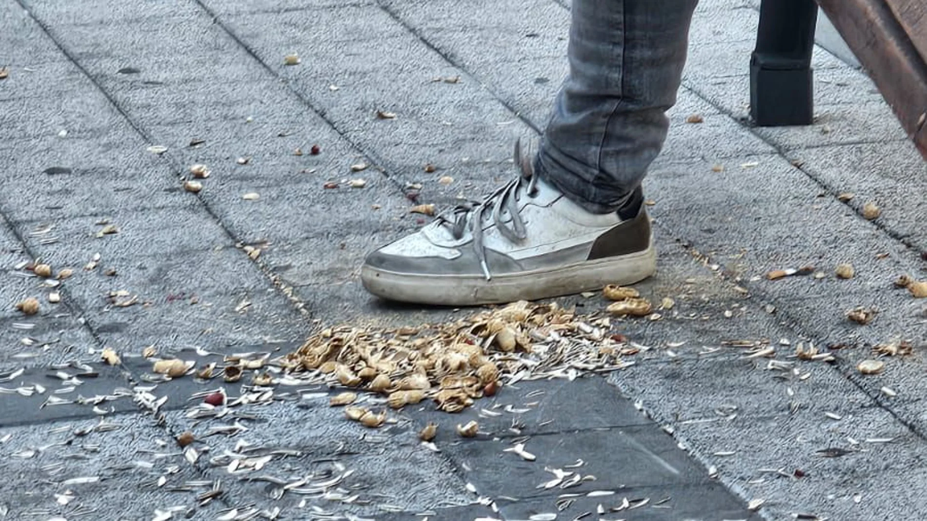 Imagen de las cáscaras en el suelo en la calle Esgueva de Valladolid