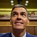 El presidente del Gobierno Pedro Sánchez, en el Congreso de los Diputados