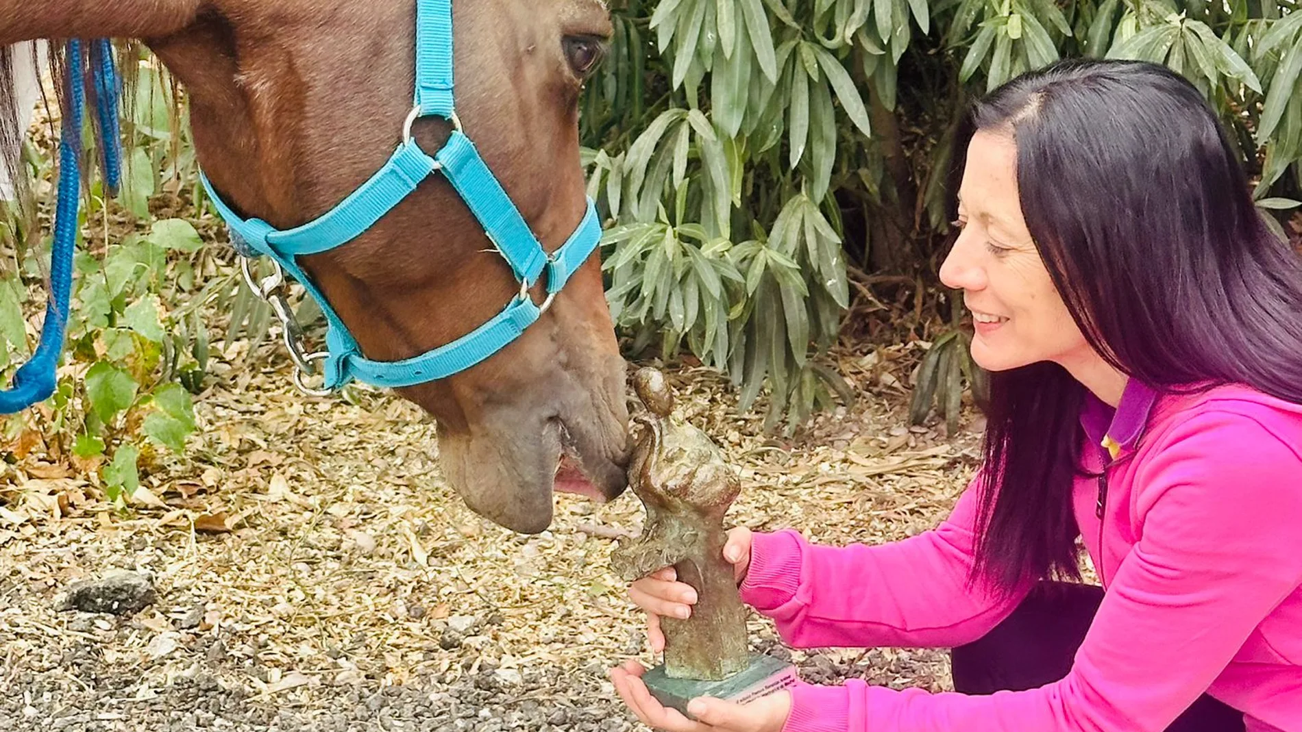 "Duque", con el Premio Bienestar Animal del Colegio Oficial de Veterinarios de Madrid