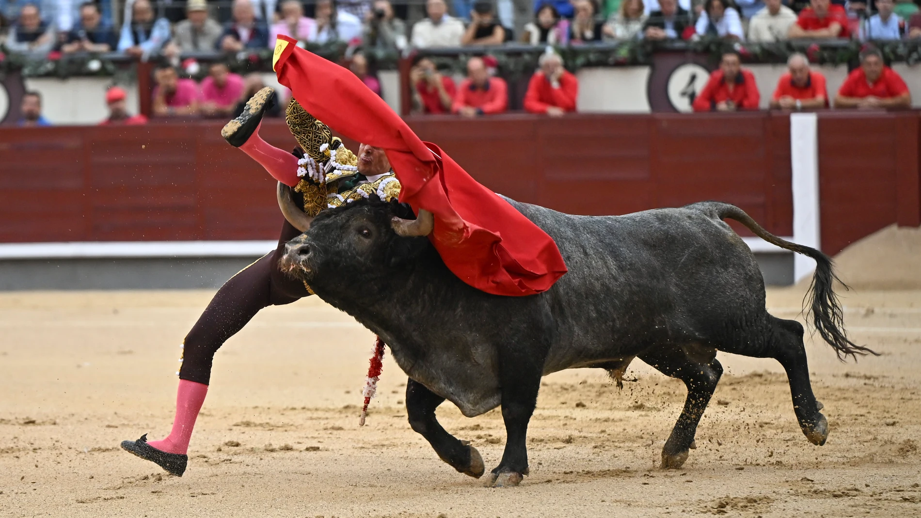 MADRID, 11/10/2025.- El diestro David Galán sufre una cogida durante el séptimo festejo de la Feria de Otoño en la plaza de toros de Las Ventas, Madrid, con toros de Victorino Martín. EFE/ Fernando Villar