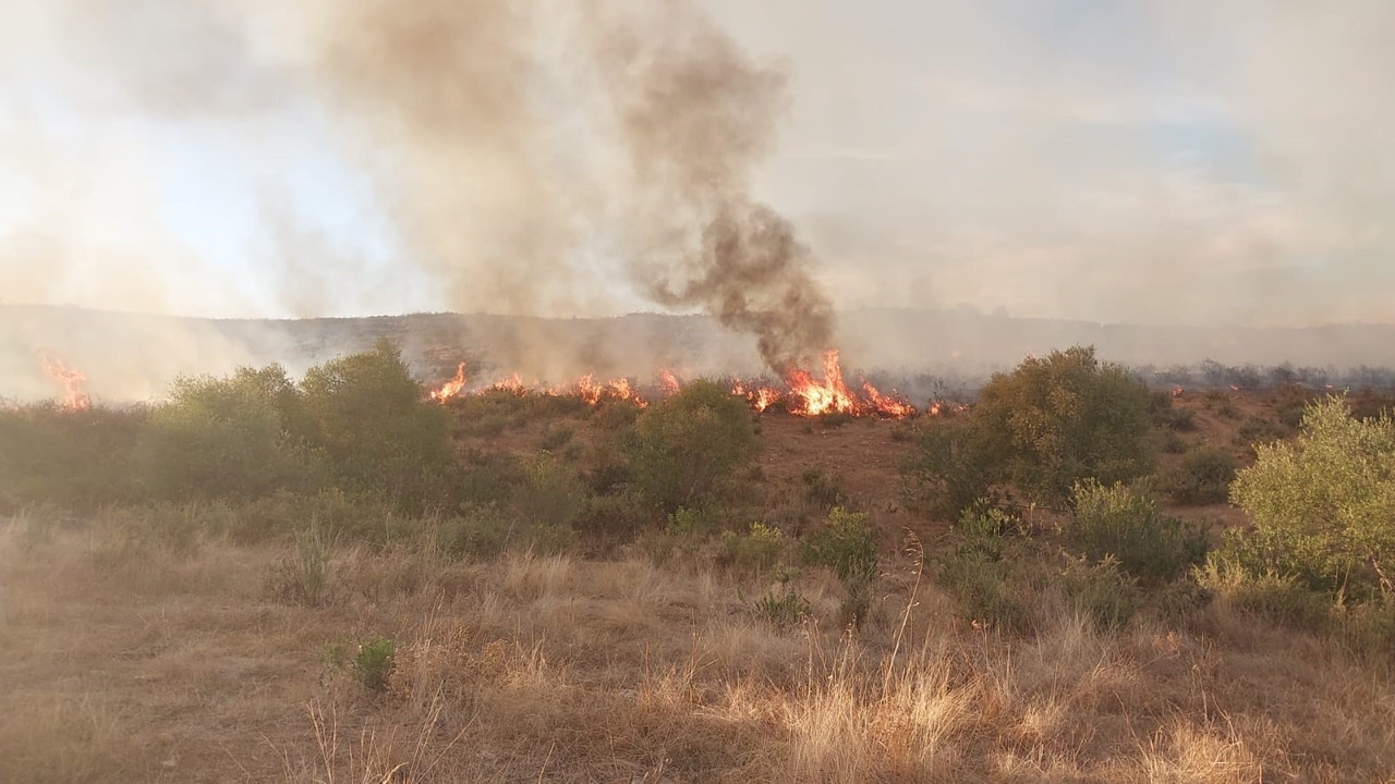 Estabilizado el incendio forestal declarado en El Castillo de las Guardas (Sevilla)