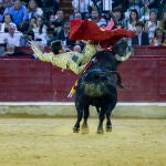 Festejo taurino de la Feria del Pilar