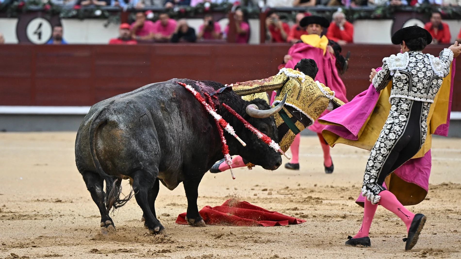 MADRID, 11/10/2025.- El diestro David Galán sufre una cogida durante el séptimo festejo de la Feria de Otoño en la plaza de toros de Las Ventas, Madrid, con toros de Victorino Martín. EFE/ Fernando Villar