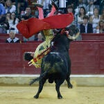 Festejo taurino de la Feria del Pilar