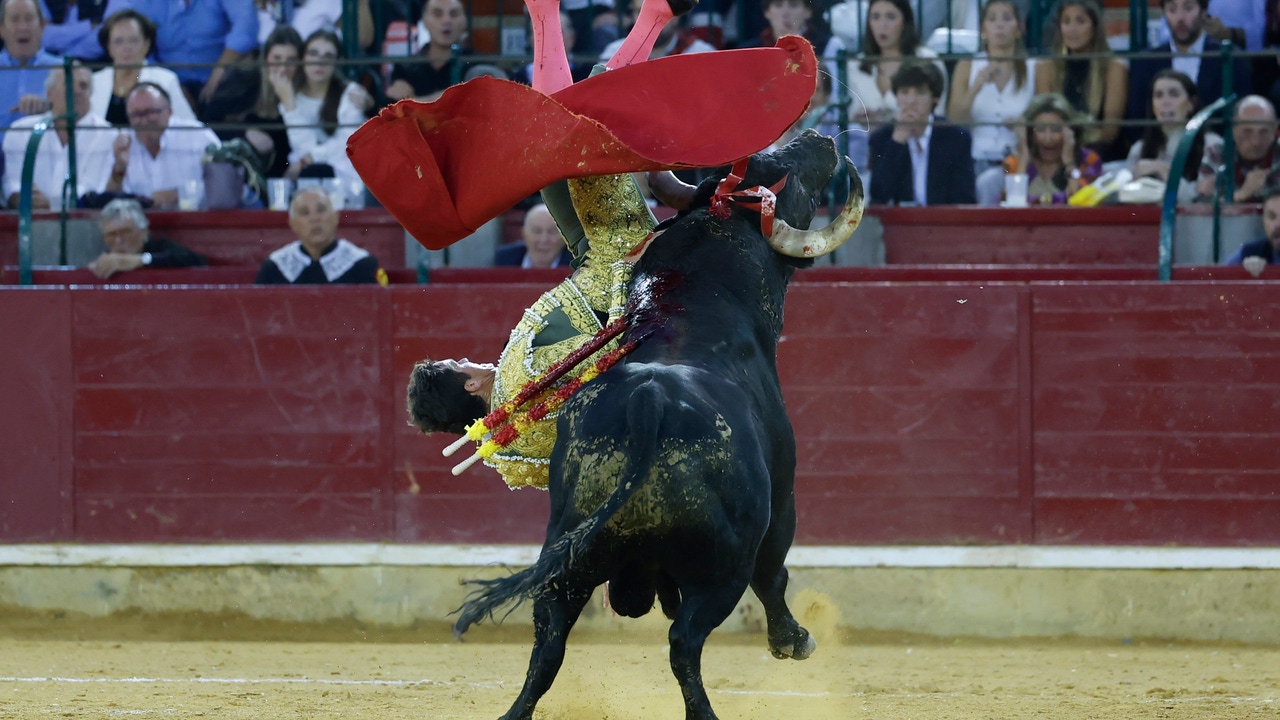 Una dura voltereta deja sin salida a hombros a Daniel Luque en Zaragoza