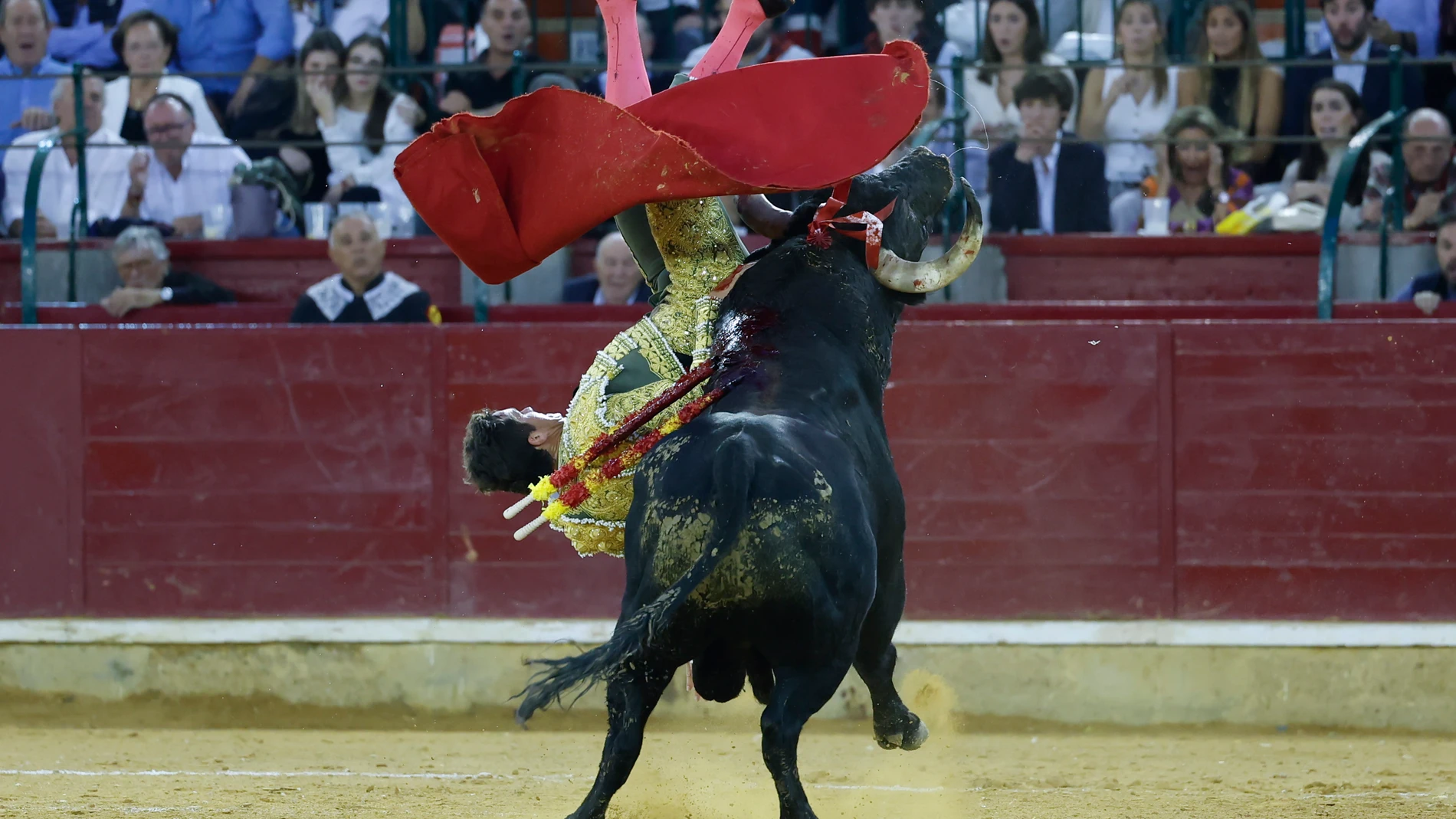 ZARAGOZA, 11/10/2025.- El diestro Daniel Luque sufre una cogida durante el festejo taurino de la Feria del Pilar, este sábado en Zaragoza. EFE/Javier Cebollada