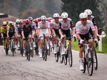 11 October 2025, Italy, Bergamo: Slovenian cyclist Pogacar Tadej leads the peloton during the 119th edition of the Il Lombardia, Tour of Lombardy cycling race, a 241 km one day race from Como to Bergamo. Photo: Marco Alpozzi/LaPresse via ZUMA Press/dpa Marco Alpozzi/LaPresse via ZUMA / DPA 11/10/2025 ONLY FOR USE IN SPAIN