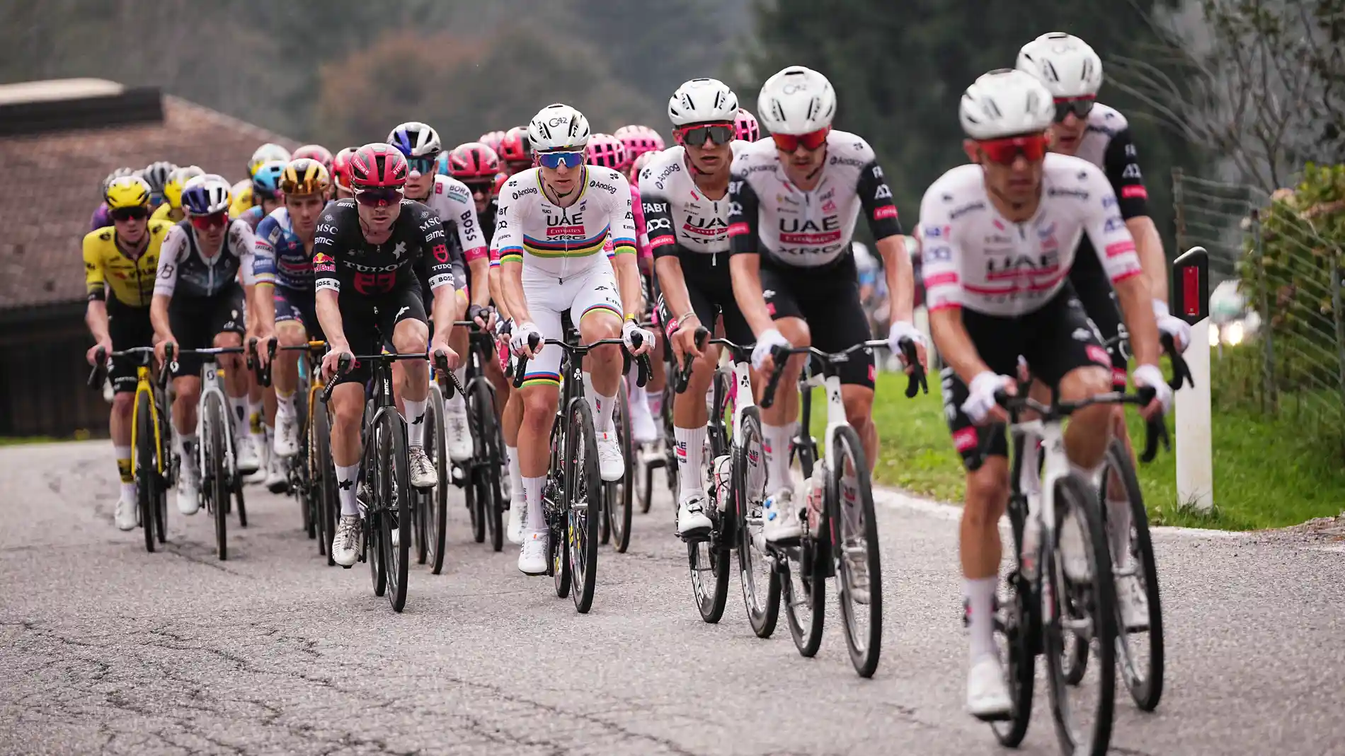 11 October 2025, Italy, Bergamo: Slovenian cyclist Pogacar Tadej leads the peloton during the 119th edition of the Il Lombardia, Tour of Lombardy cycling race, a 241 km one day race from Como to Bergamo. Photo: Marco Alpozzi/LaPresse via ZUMA Press/dpa Marco Alpozzi/LaPresse via ZUMA / DPA 11/10/2025 ONLY FOR USE IN SPAIN