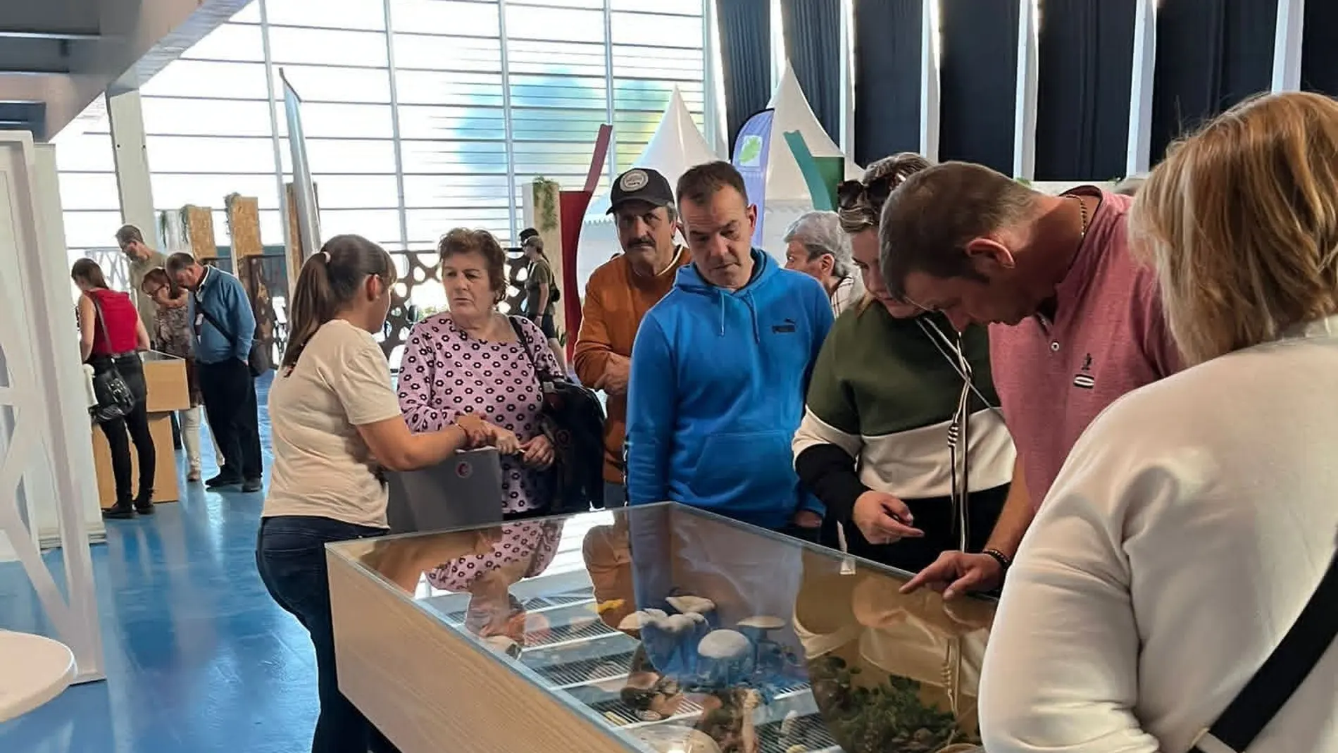 Feria Ecocultura en Zamora
