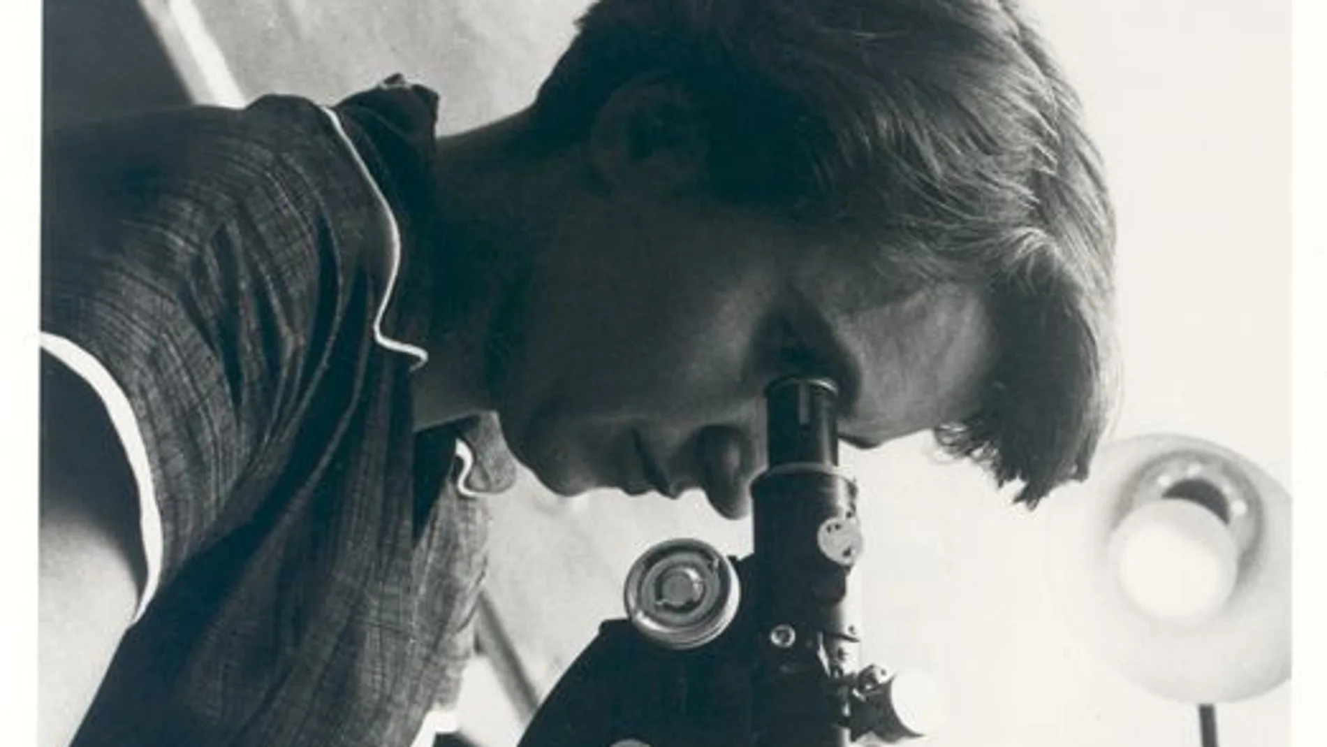 Rosalind Franklin: la mujer que iluminó la doble hélice del ADN