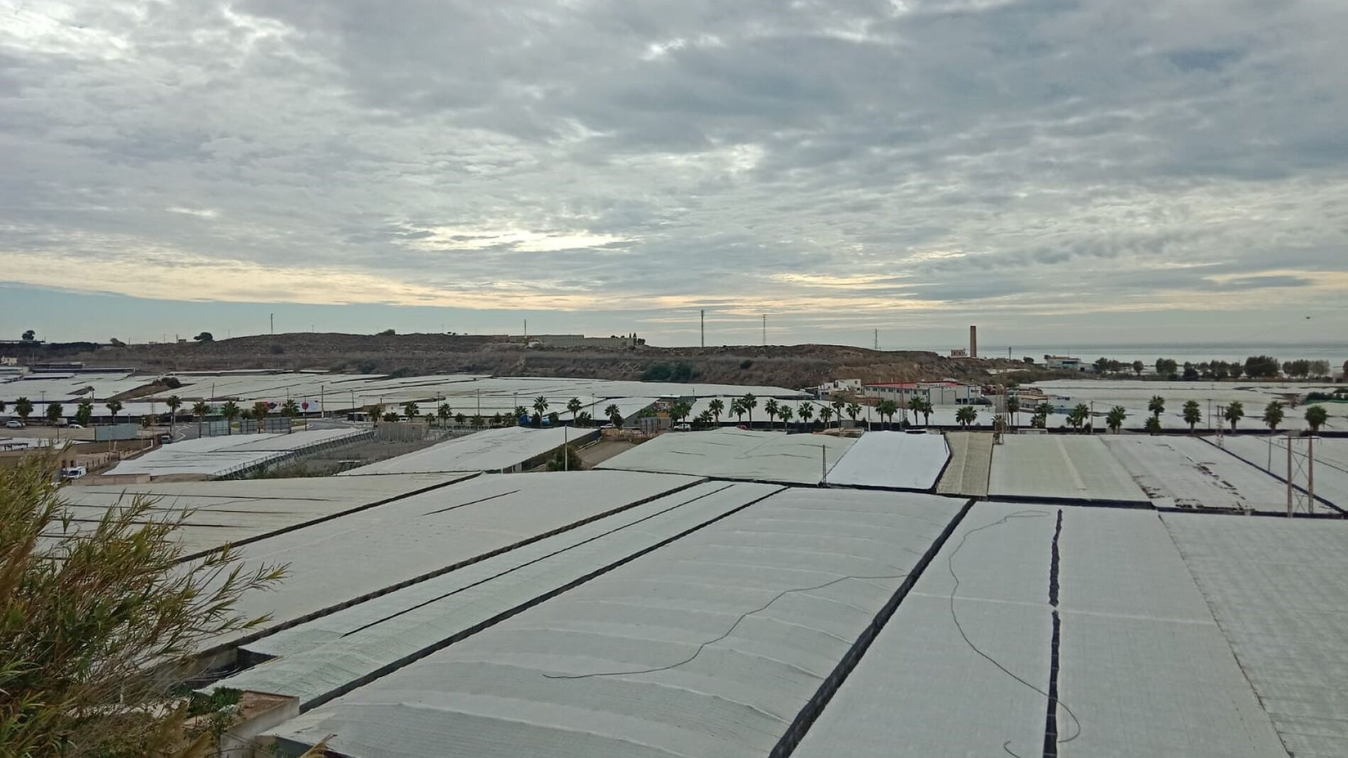 El sector hortofrutícola almeriense muestra su preocupación por el acuerdo alcanzado entre la UE y Marruecos