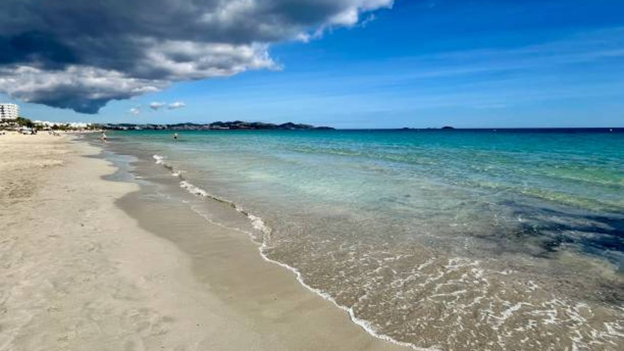 El misterioso pie humano hallado en una orilla de una playa de Ibiza por un perro y su dueño mientras paseaban