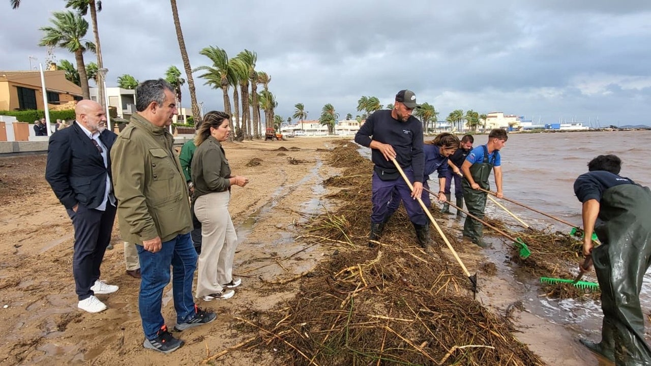 Casi un centenar de efectivos se unen a la retirada de biomasa en el Mar Menor tras la dana Alice