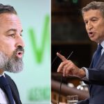 El líder de Vox, Santiago Abascal, y el presidente del Partido Popular, Alberto Núñez Feijóo.