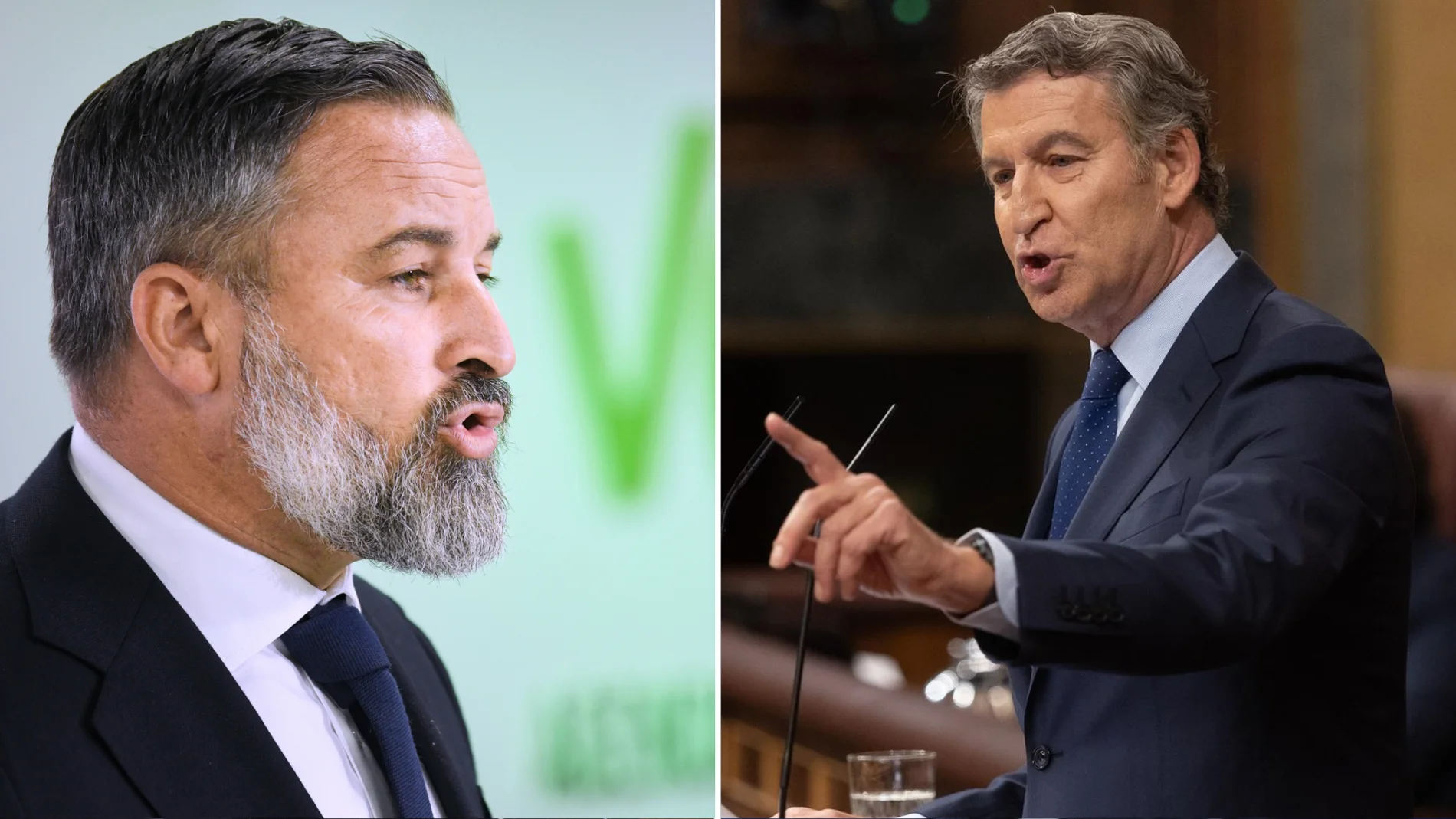 El líder de Vox, Santiago Abascal, y el presidente del Partido Popular, Alberto Núñez Feijóo.