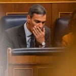 Pedro Sánchez en el Pleno del Congreso